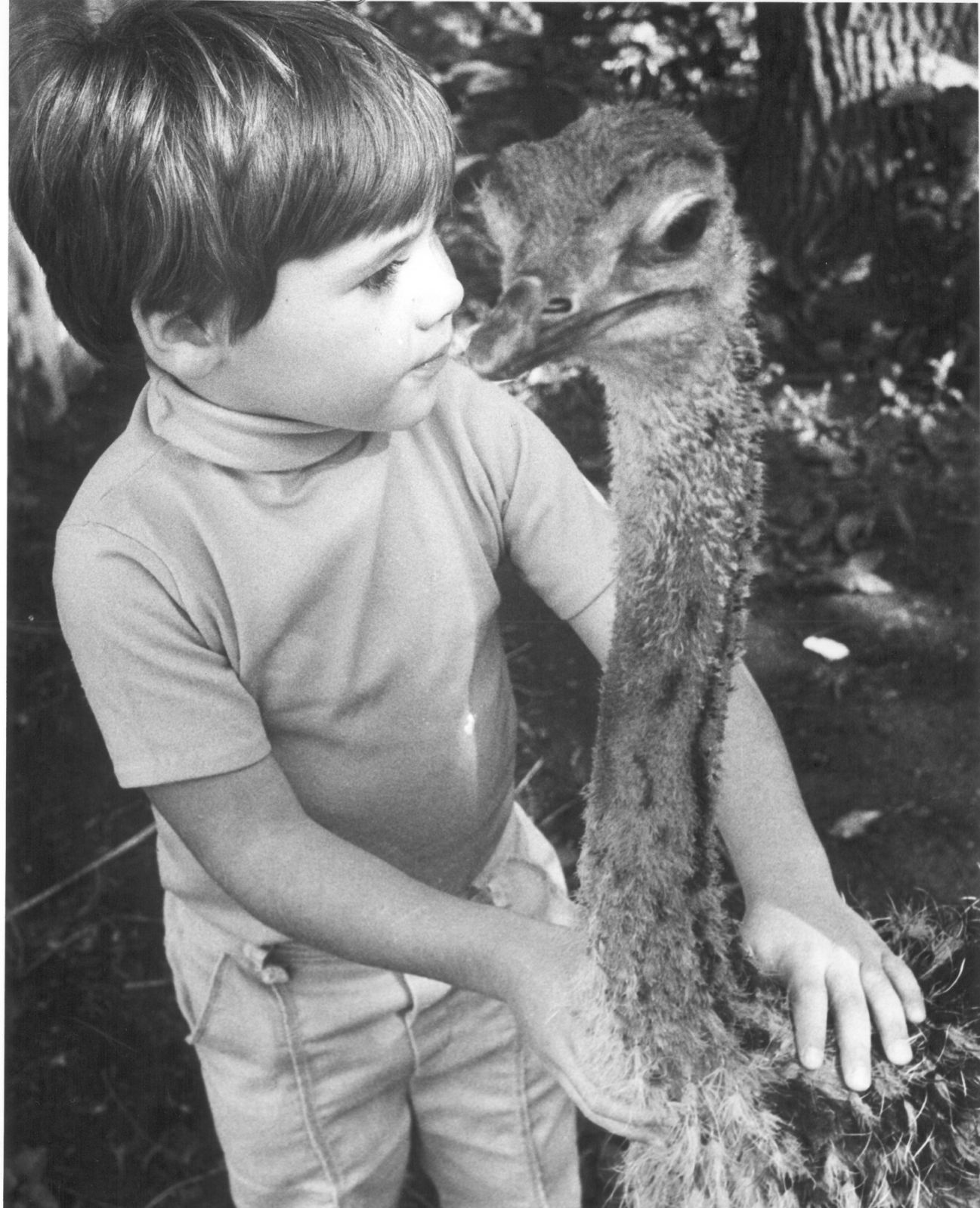 Lincoln Children's Zoo 50th Anniversary